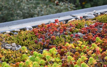 the cost of Sconser green roof installation